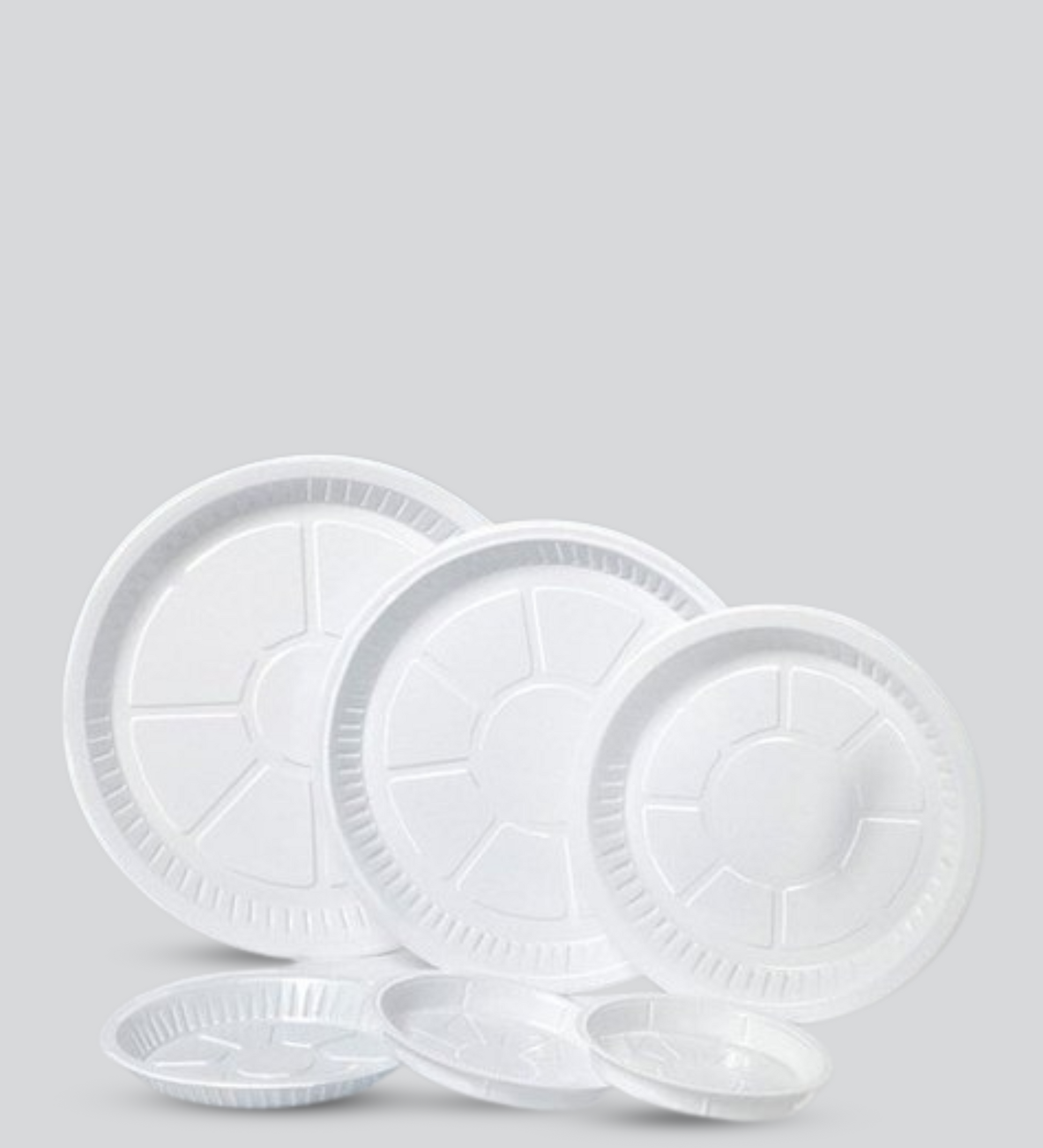 Disposable plates for parties, picnics, and events